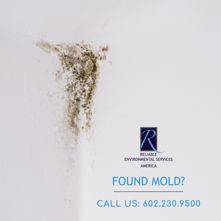 found mold