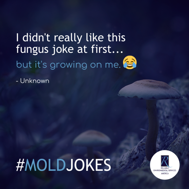 mold jokes 1